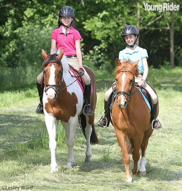 Horse Riding available for hire across Nairobi and Kiambu - photo 3